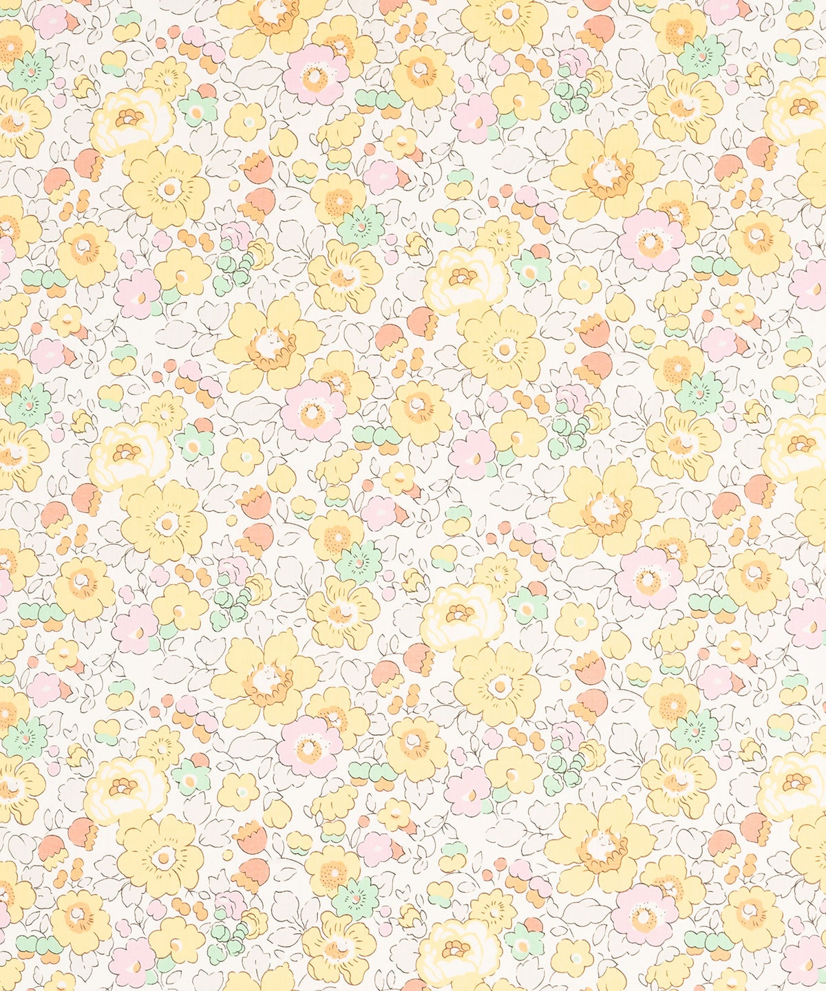 ベッツィ タナローン