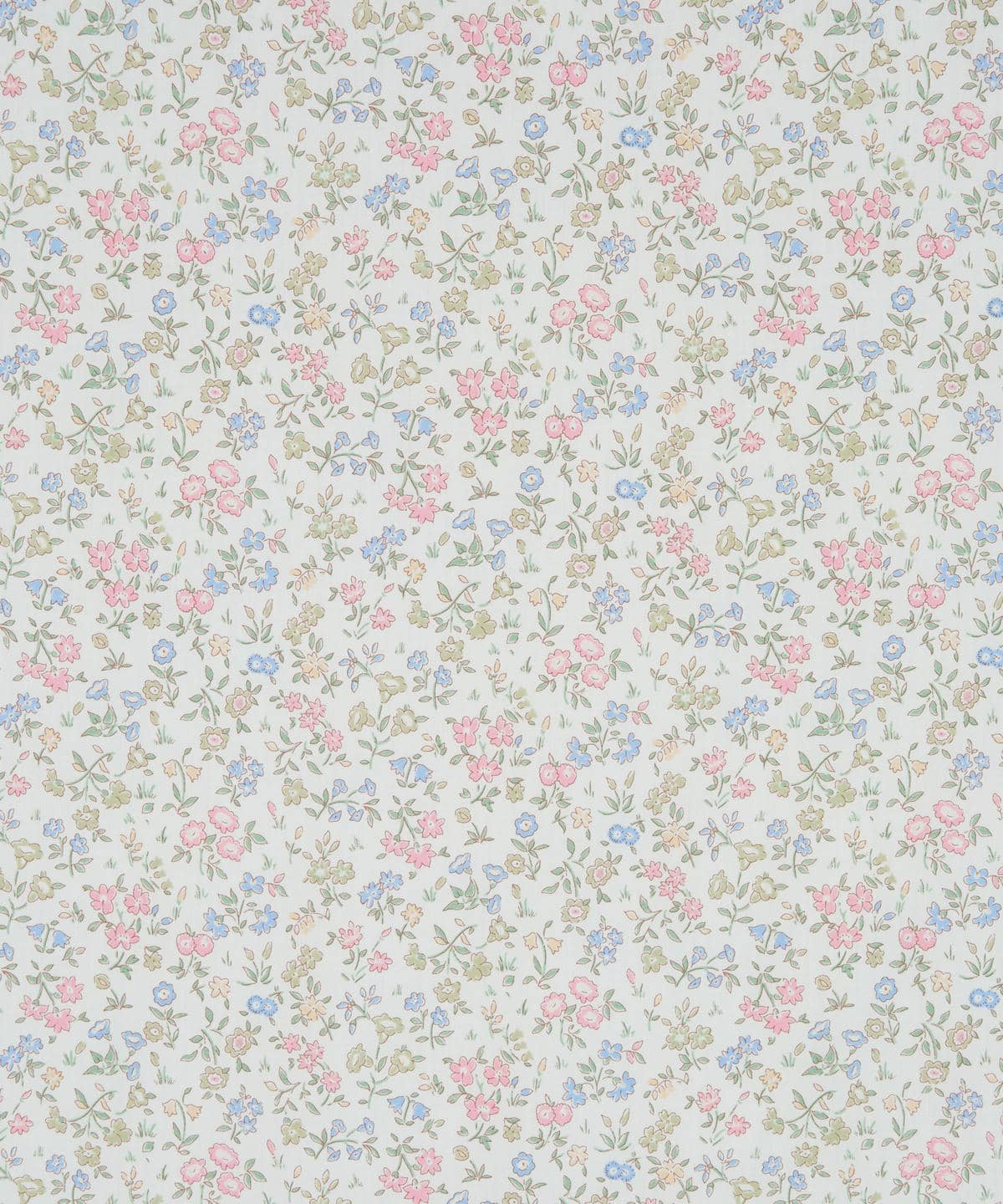 メドゥ・スウィート タナローン