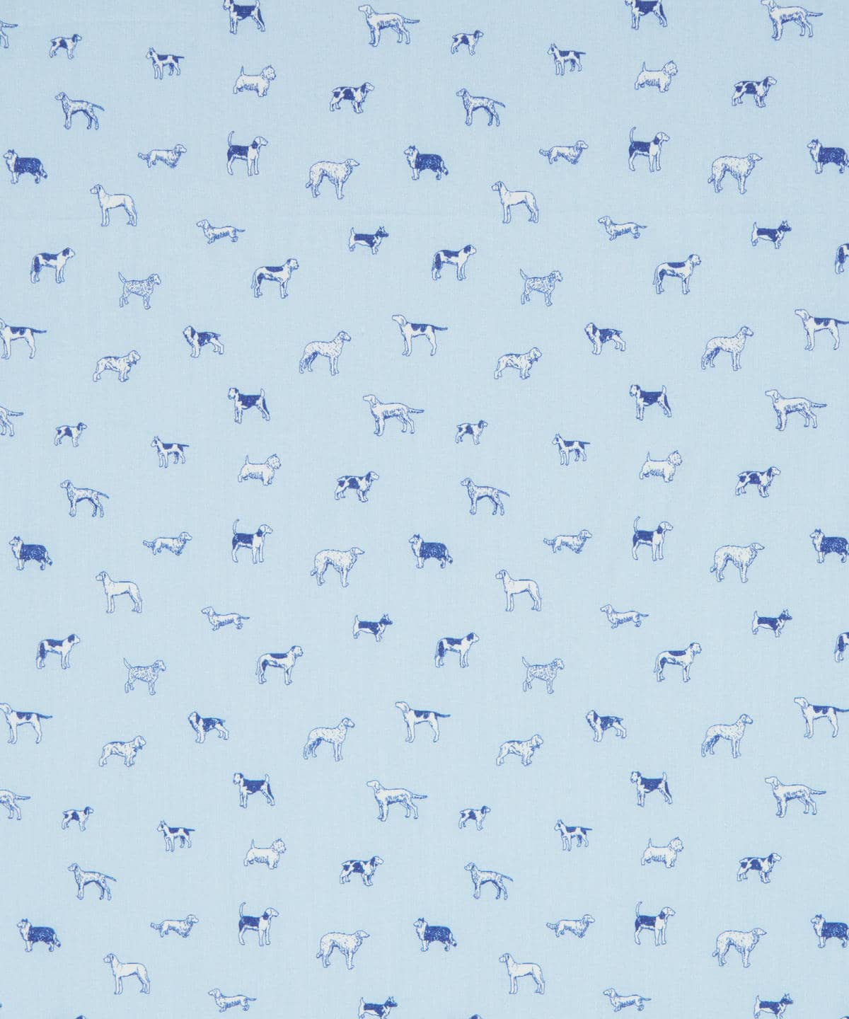 マンズ・ベスト・フレンド タナローン