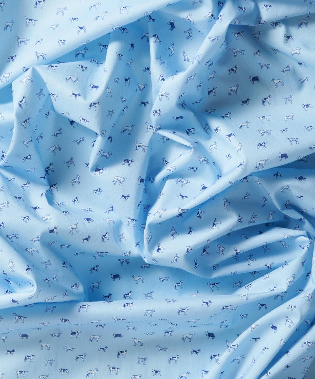 マンズ・ベスト・フレンド タナローン