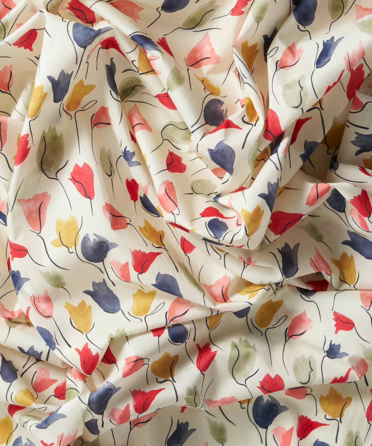 チューリップ・シャドー タナローン