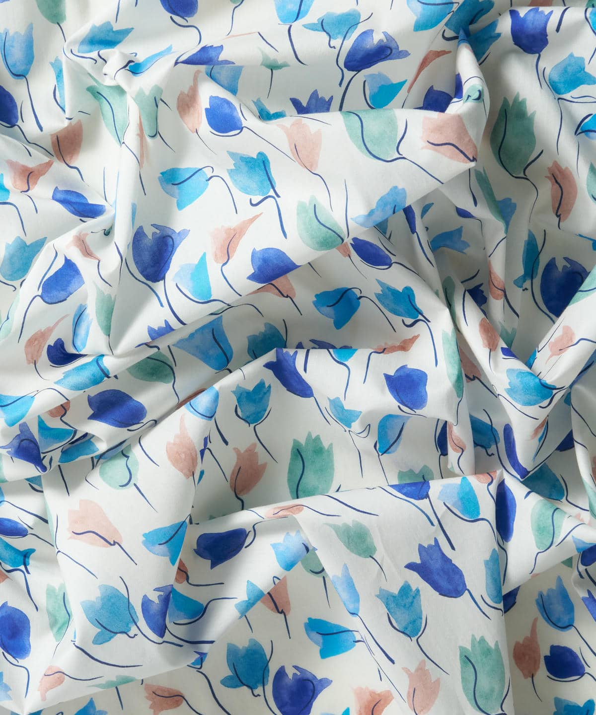 チューリップ・シャドー タナローン