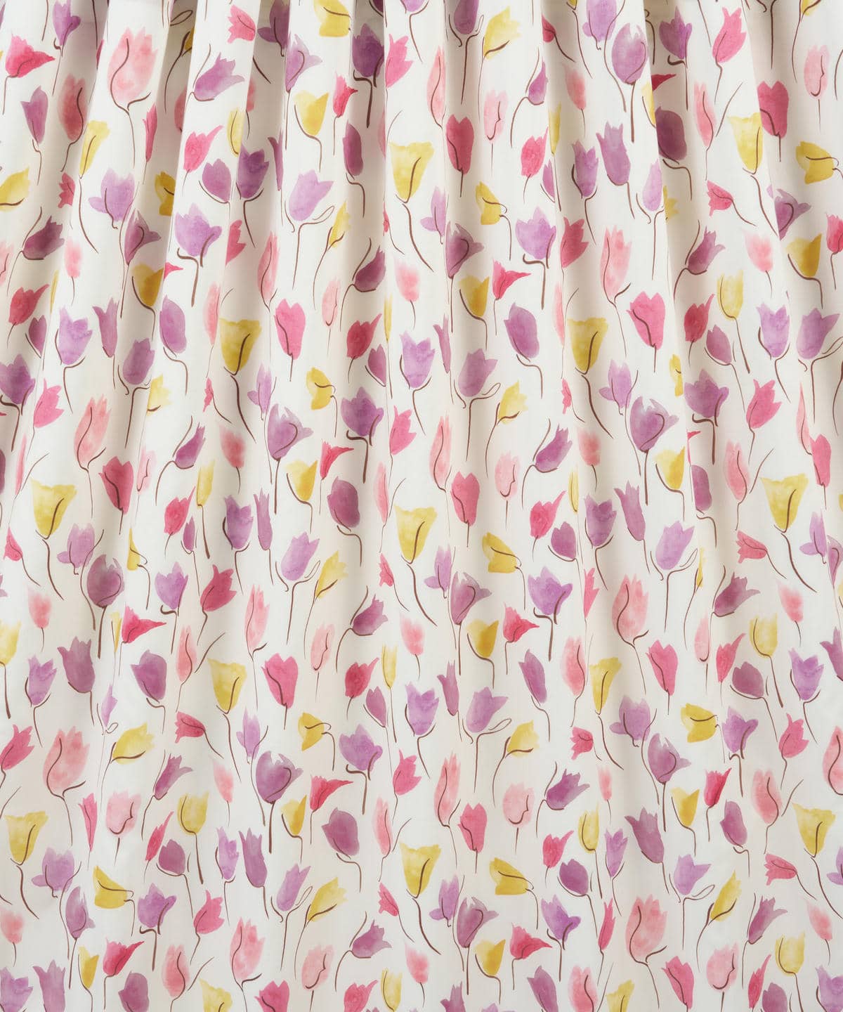 チューリップ・シャドー タナローン