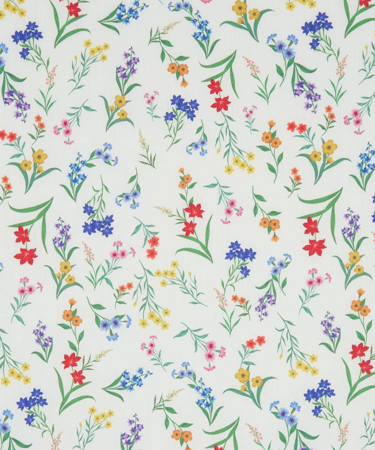 ボタニカル・ディスプレイ タナローン