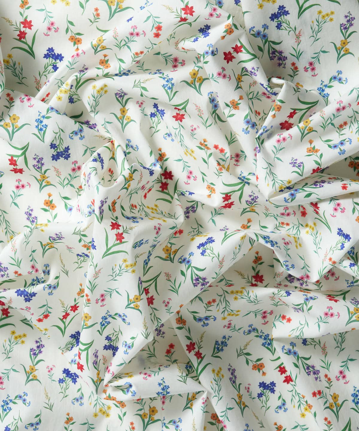 ボタニカル・ディスプレイ タナローン