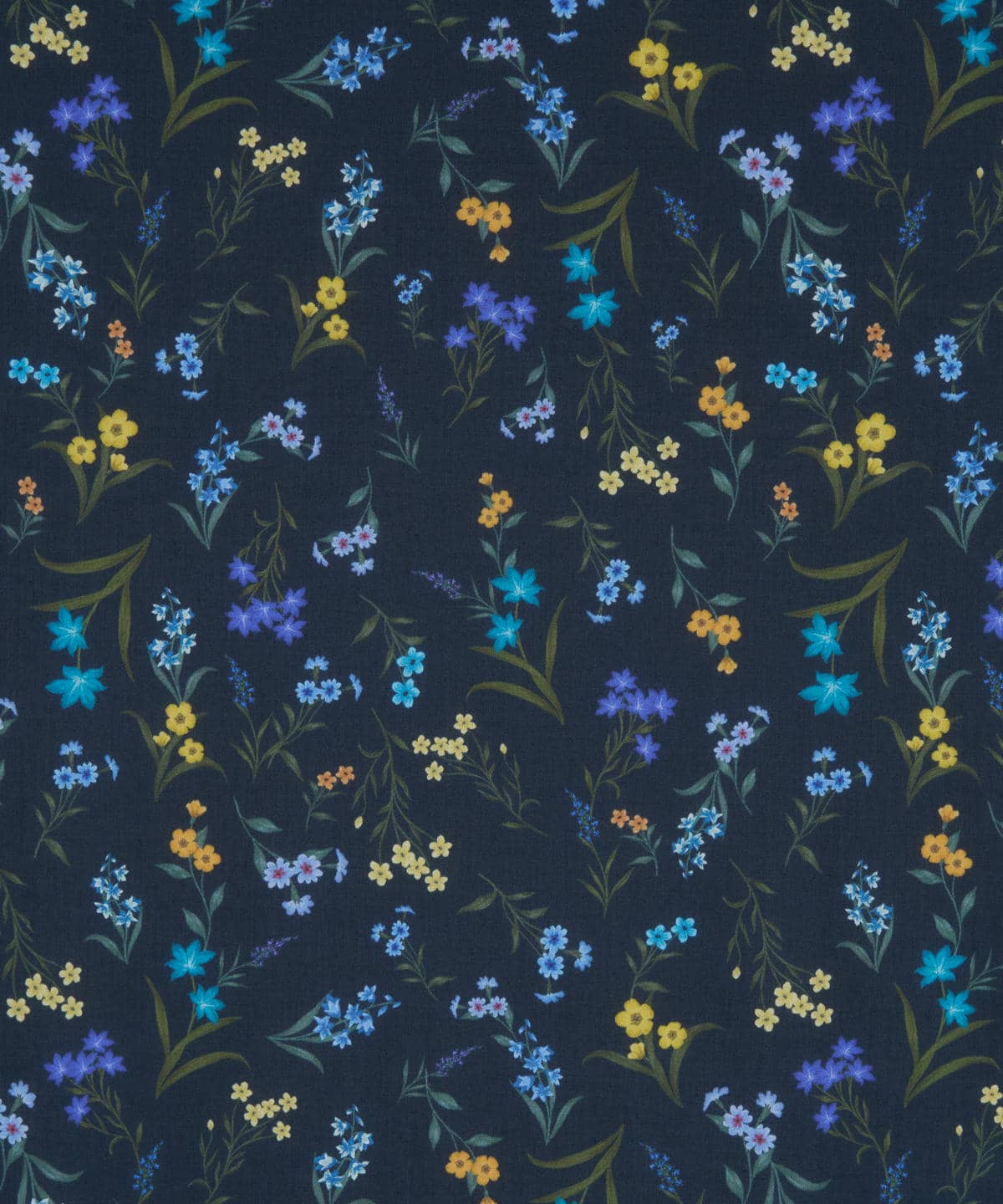 ボタニカル・ディスプレイ タナローン