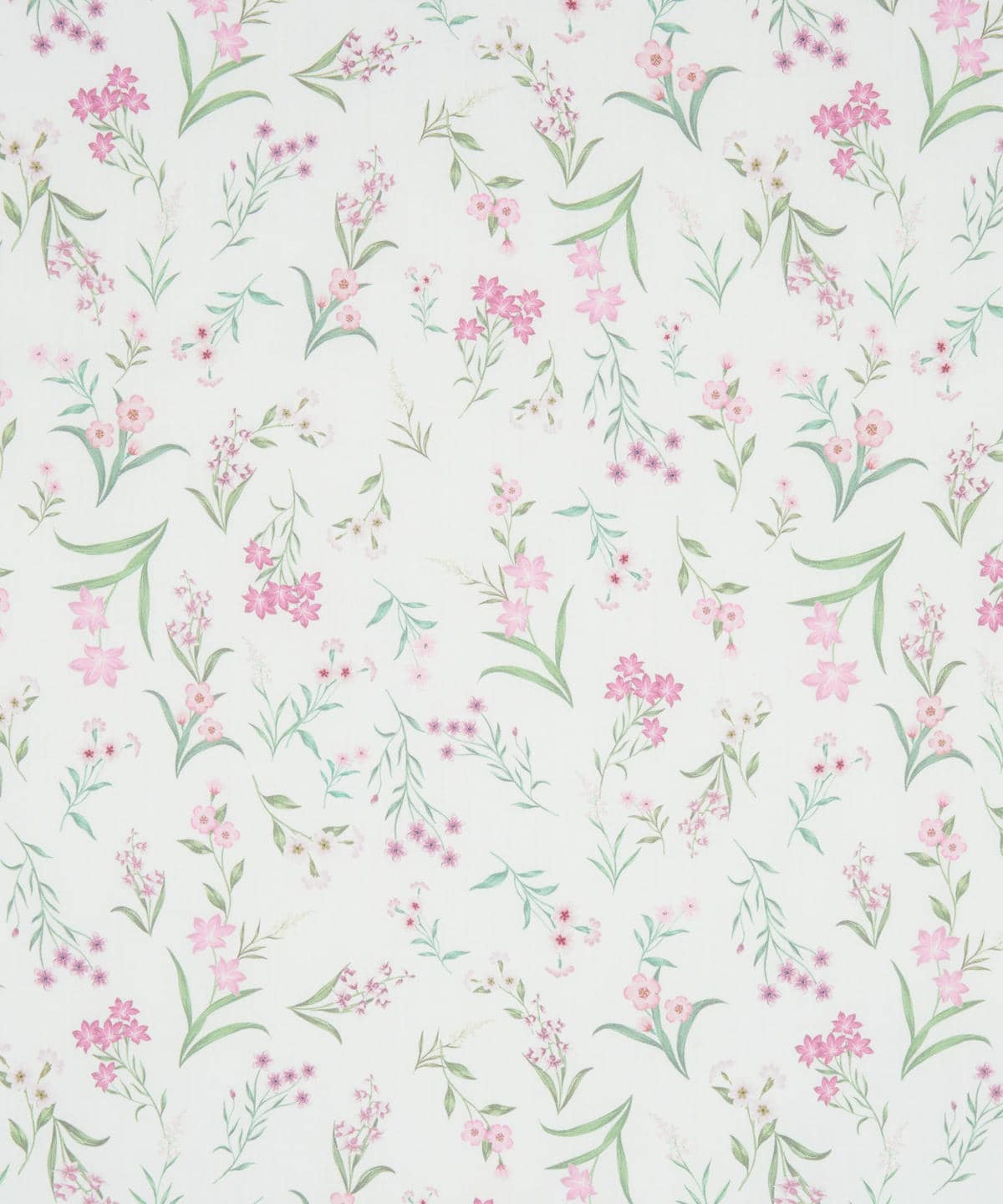 ボタニカル・ディスプレイ タナローン