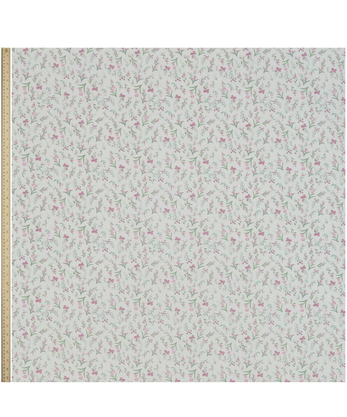 ボタニカル・ディスプレイ タナローン