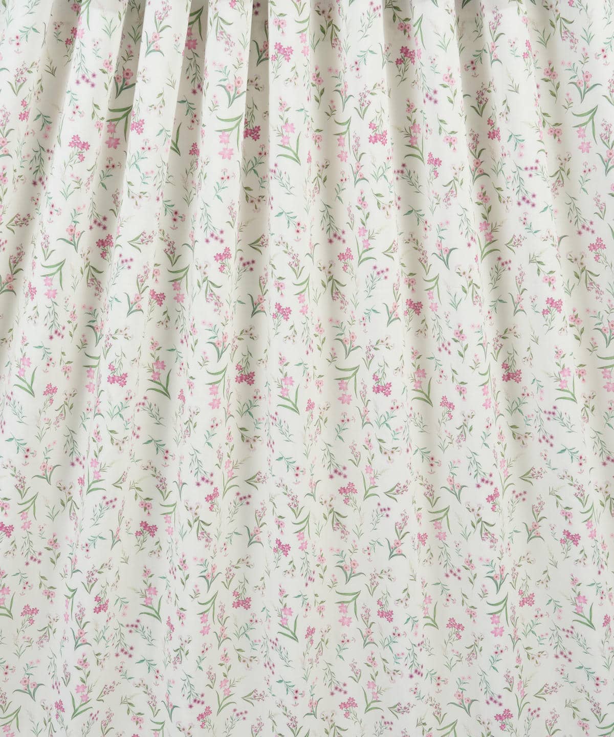 ボタニカル・ディスプレイ タナローン