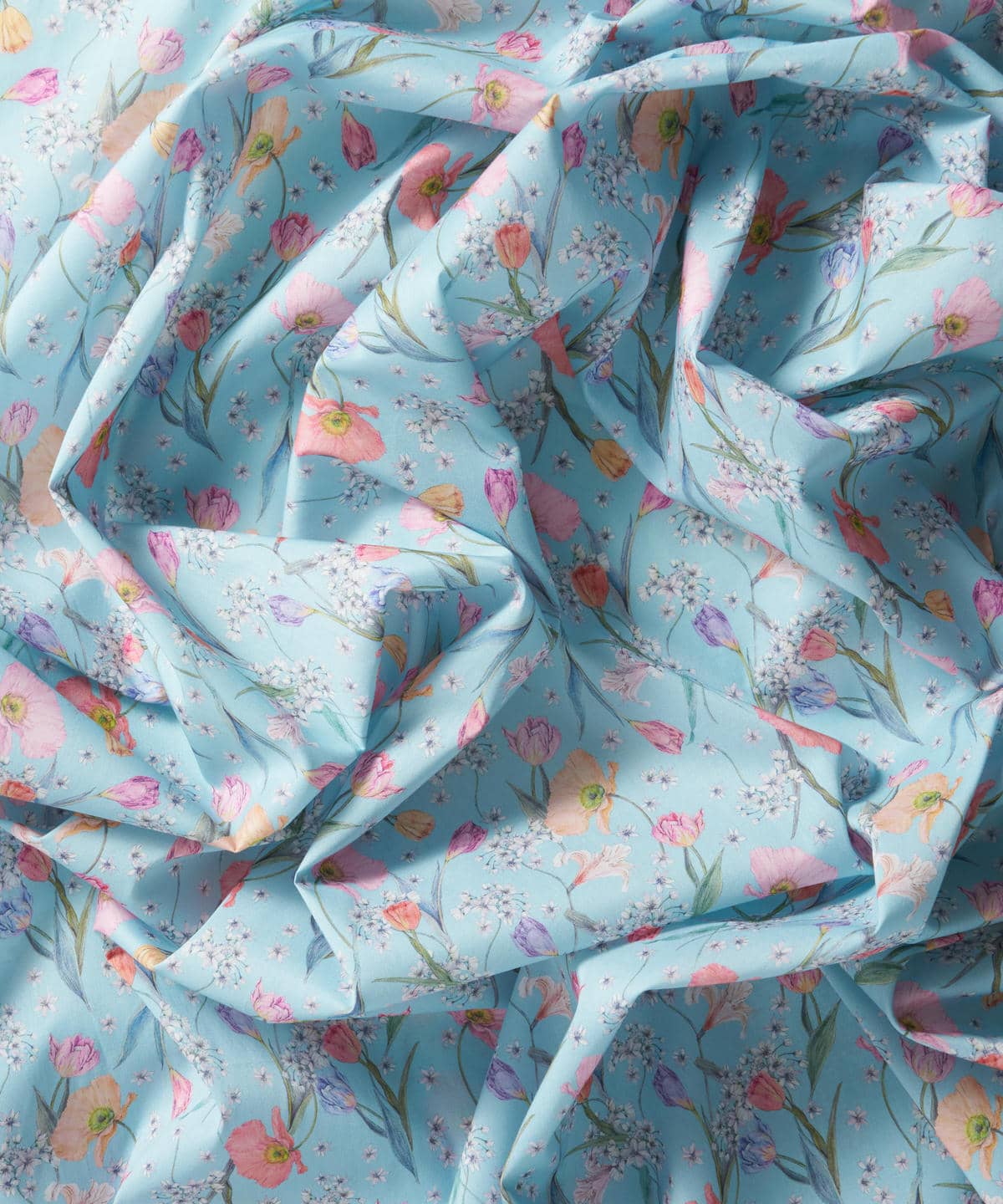 スプリング・ブルームス タナローン