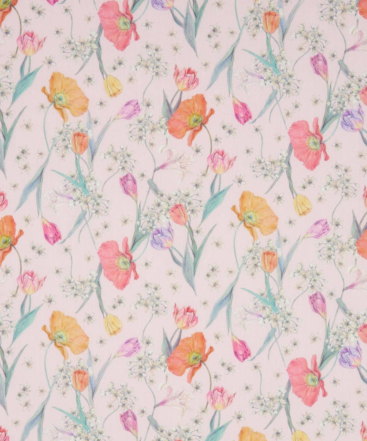 スプリング・ブルームス タナローン