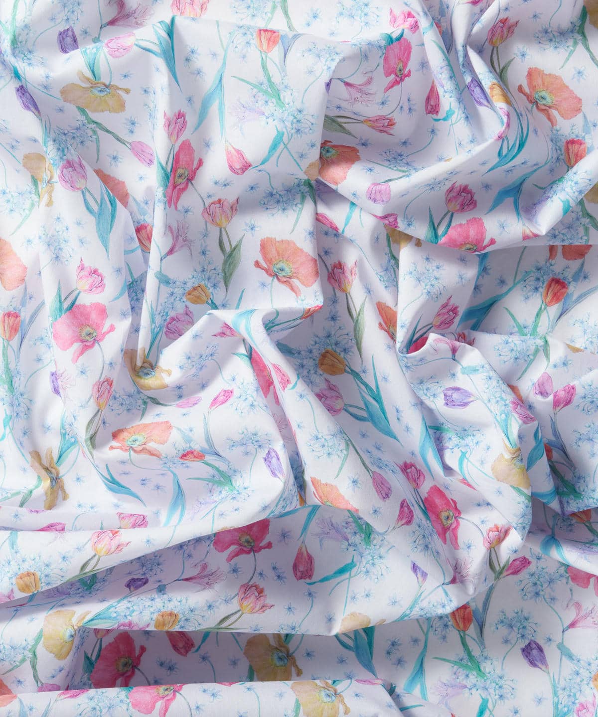 スプリング・ブルームス タナローン