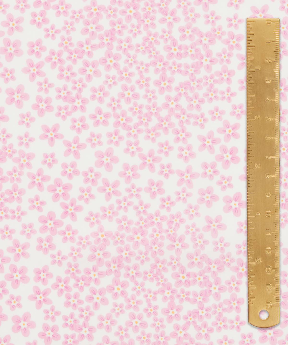 ディッツィ・ドット タナローン