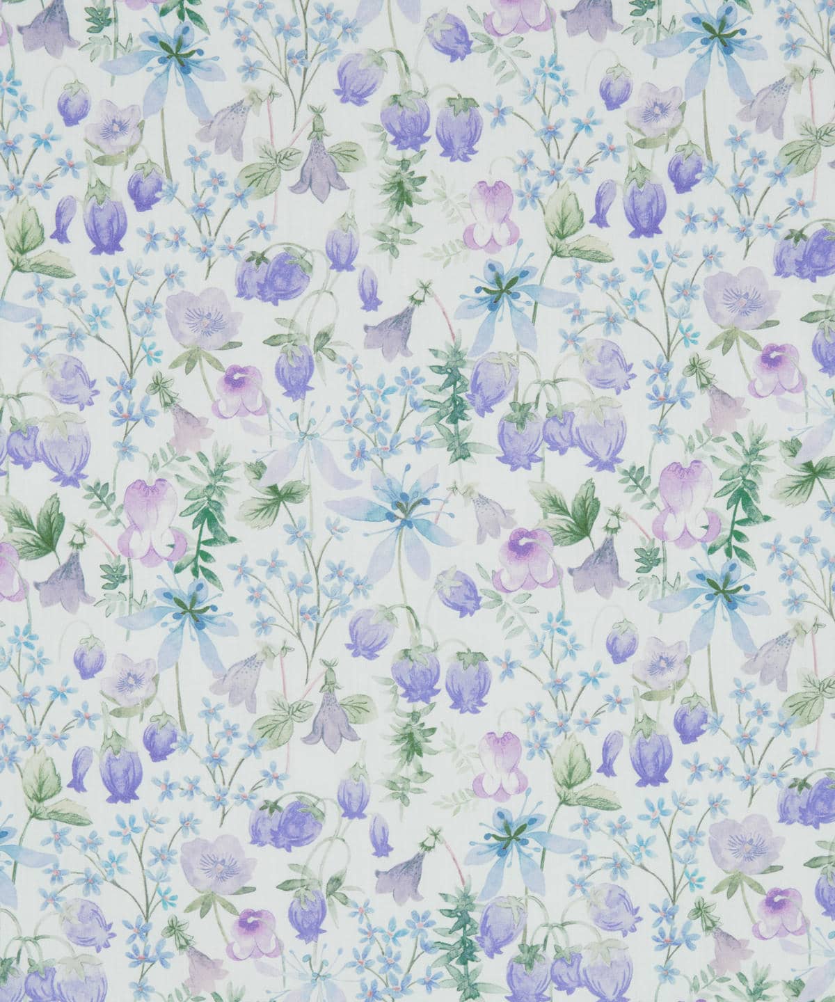 ハクバ タナローン