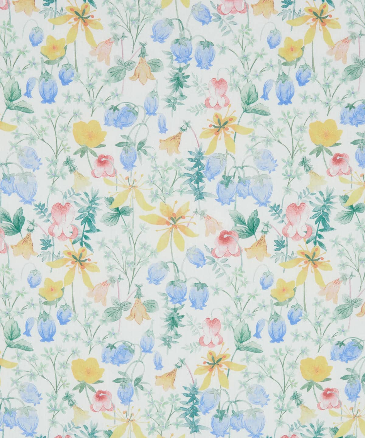 ハクバ タナローン