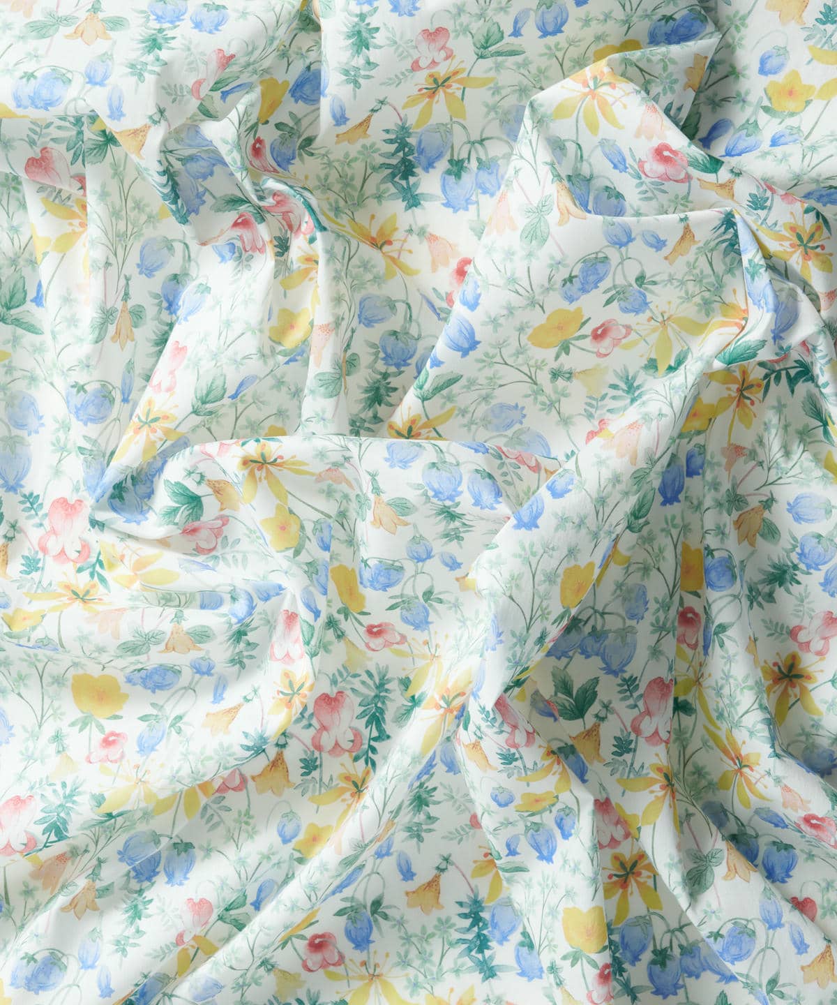 ハクバ タナローン