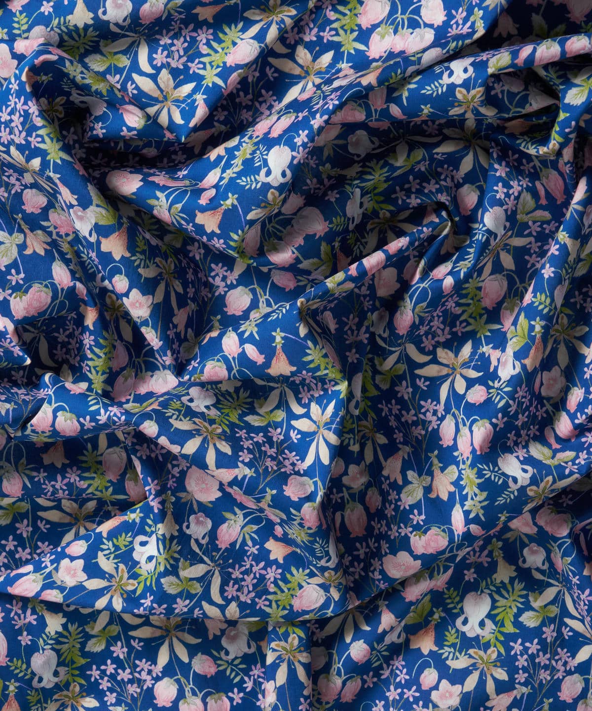 ハクバ タナローン