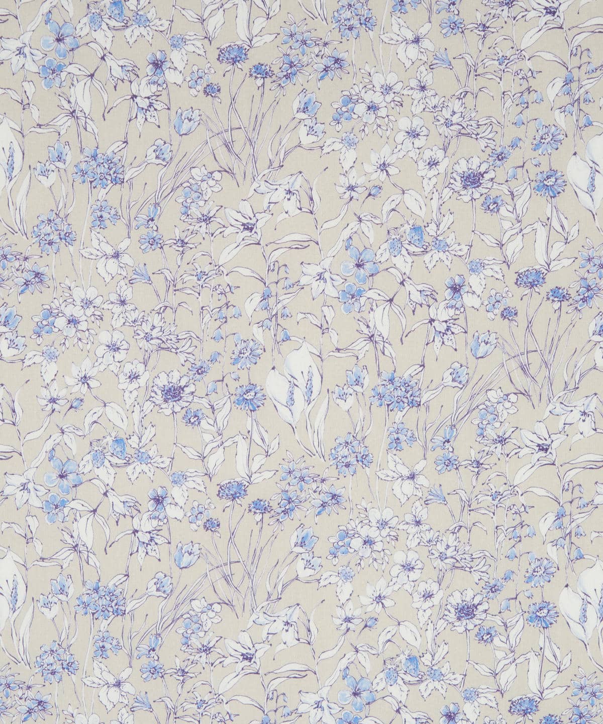 ワンダーフォーゲル タナローン