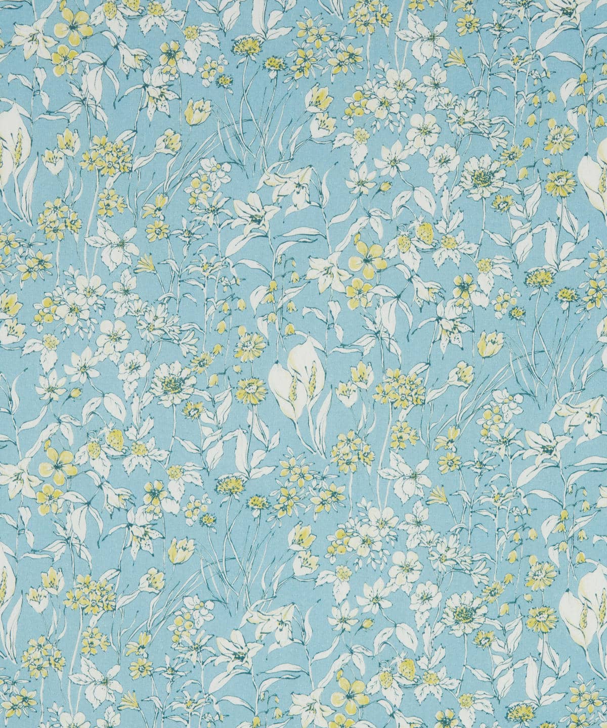 ワンダーフォーゲル タナローン