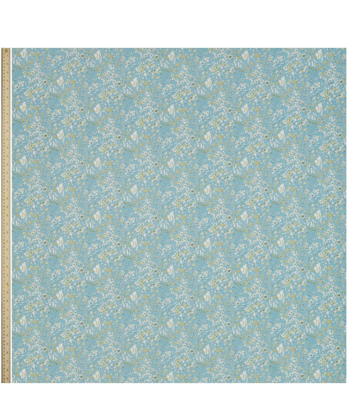 ワンダーフォーゲル タナローン