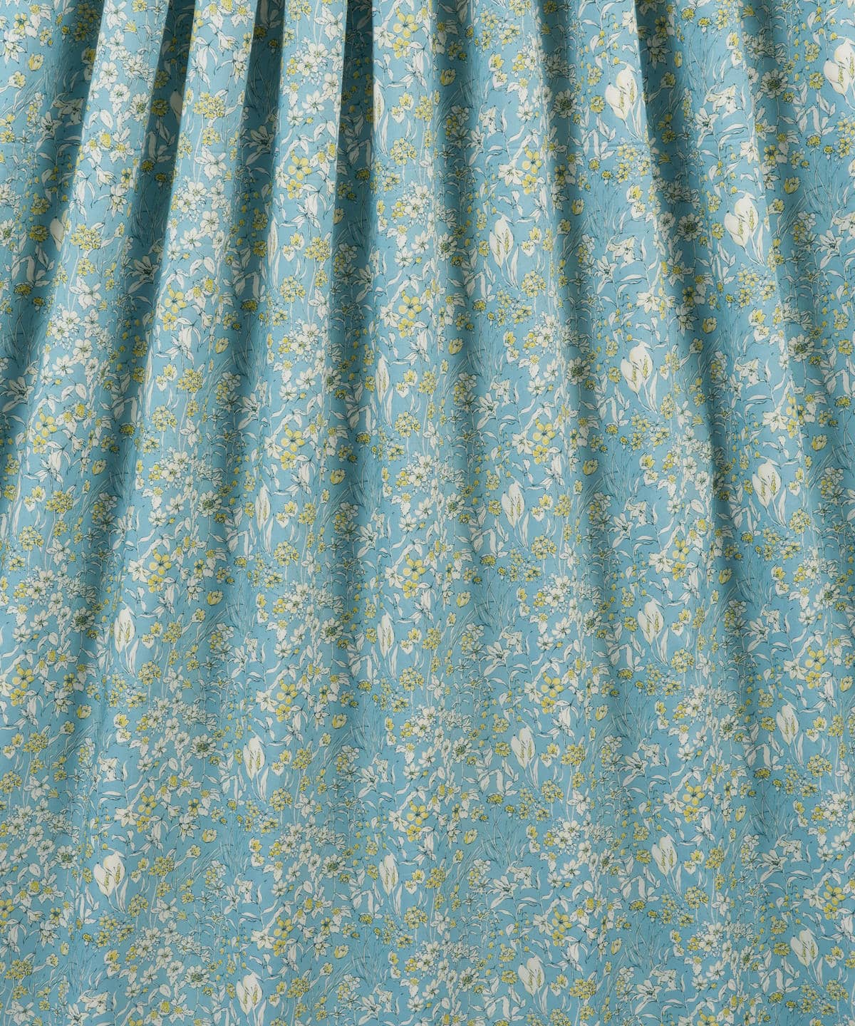 ワンダーフォーゲル タナローン