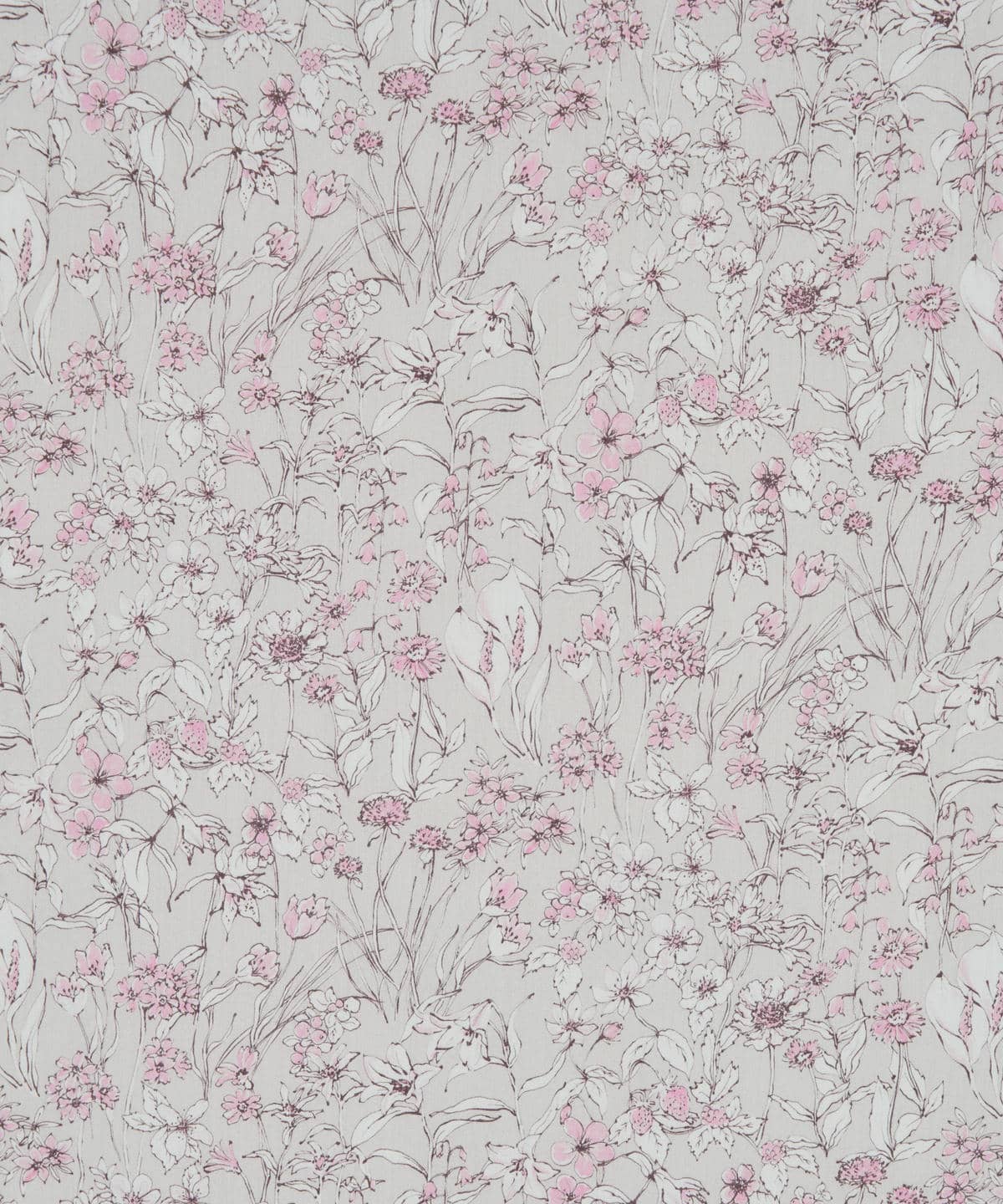 ワンダーフォーゲル タナローン