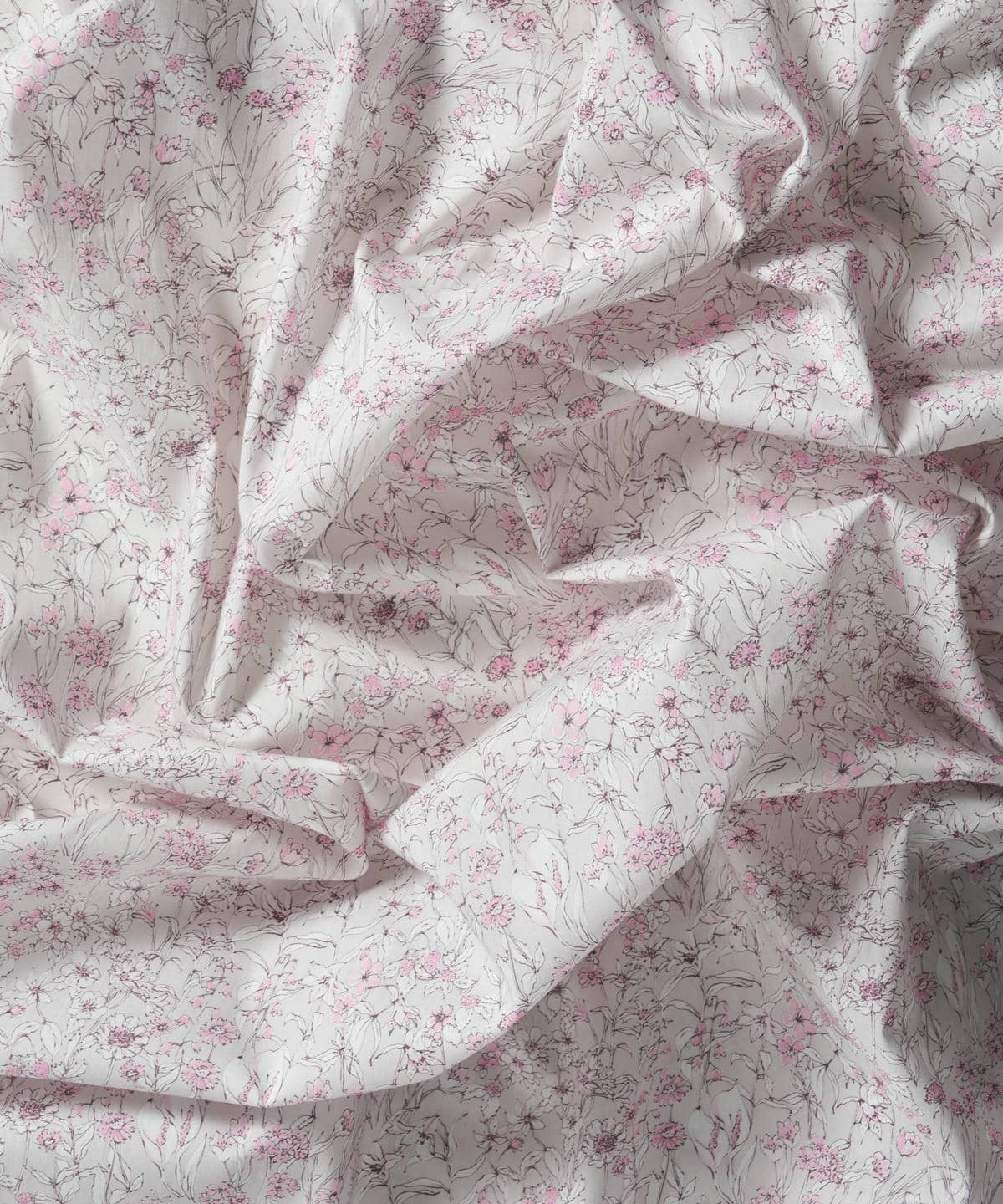 ワンダーフォーゲル タナローン