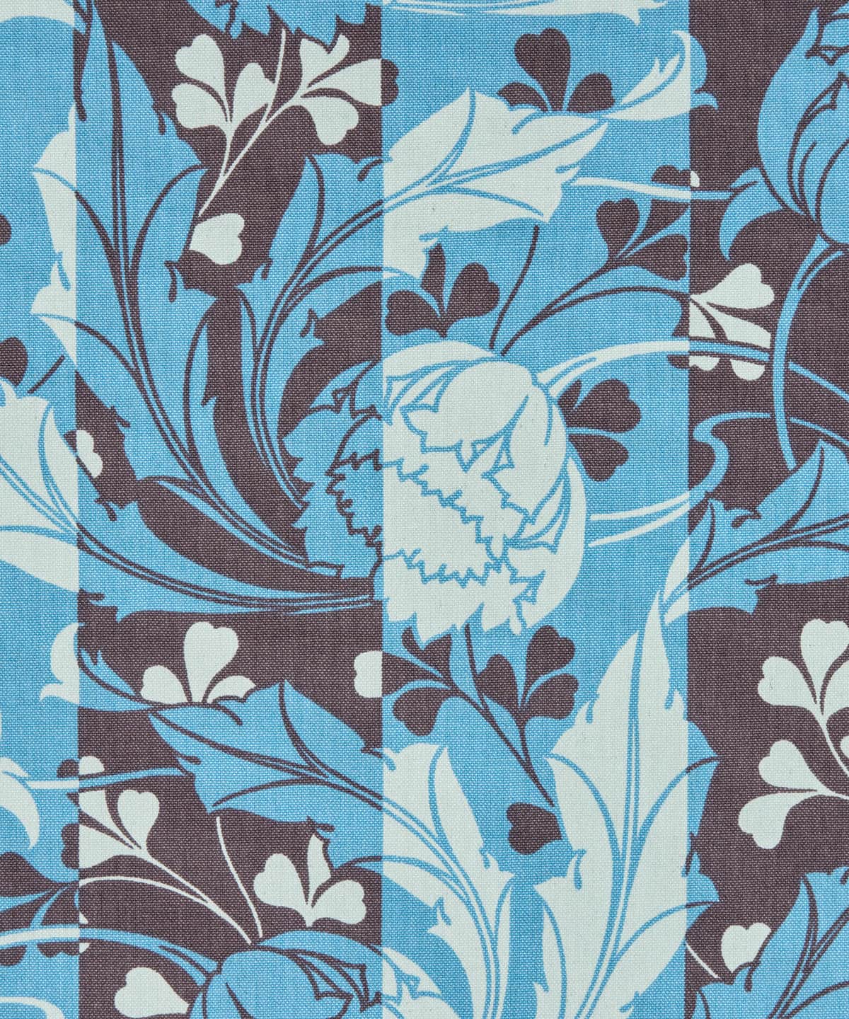 ヴィーナス ニュー・コットン・キャンバス