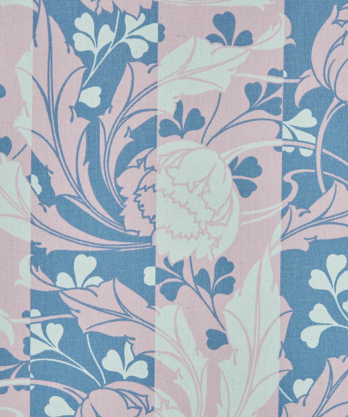 ヴィーナス ニュー・コットン・キャンバス