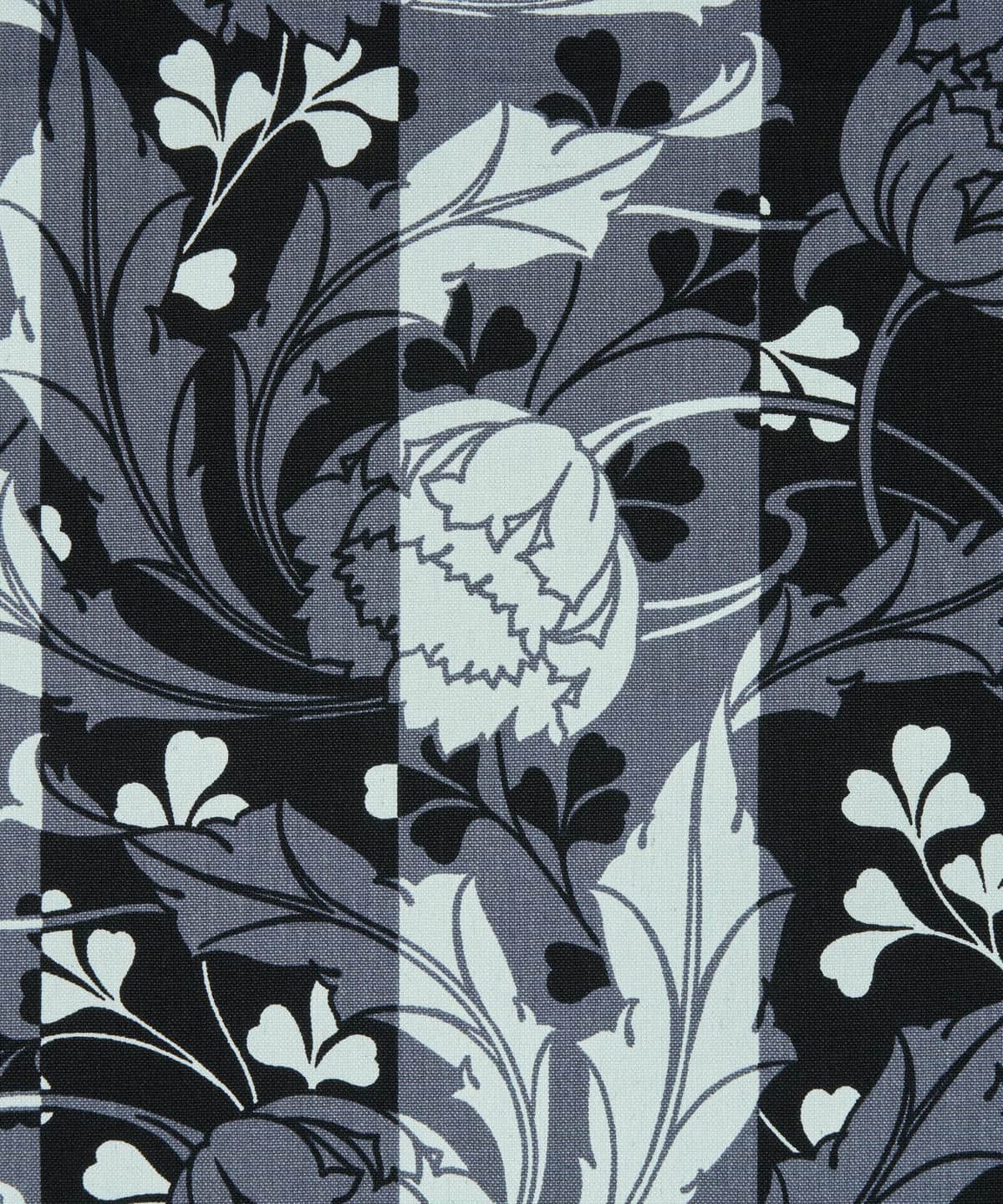 ヴィーナス ニュー・コットン・キャンバス