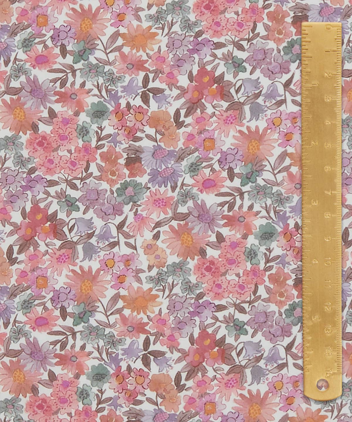 サンドラ・スプリング タナローン