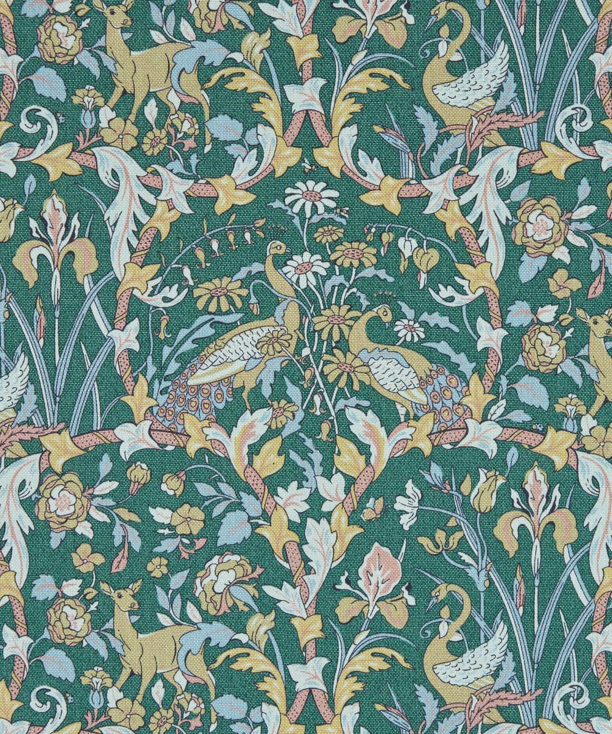 ジョーン ニュー・コットン・キャンバス