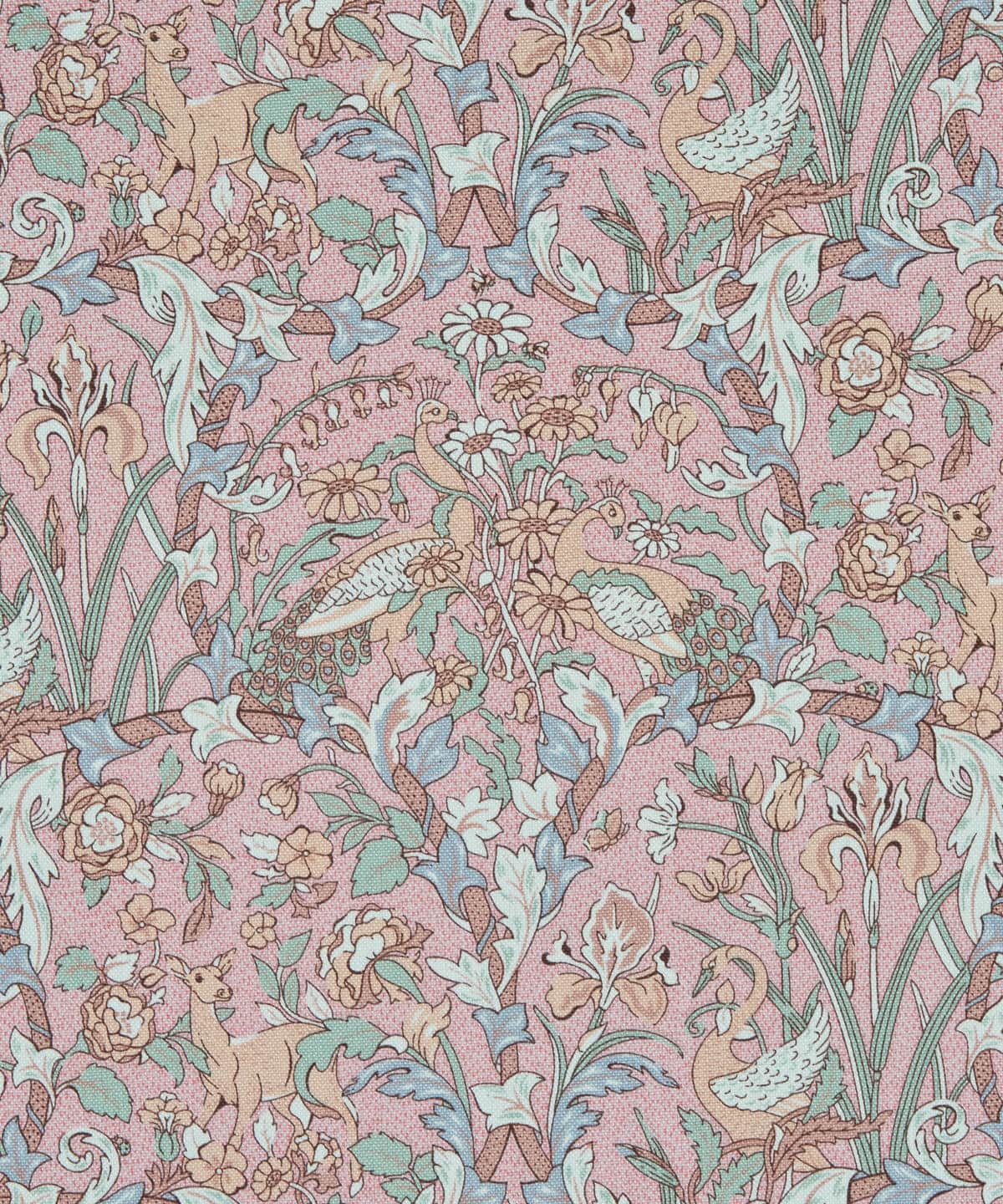 ジョーン ニュー・コットン・キャンバス