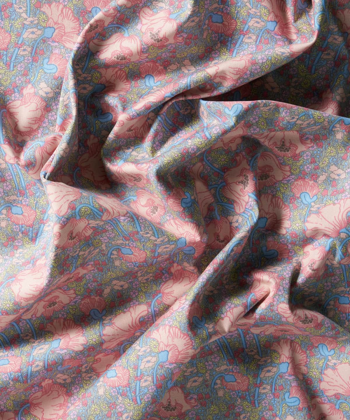 クレメンティナ・デイジー ニュー・コットン・キャンバス