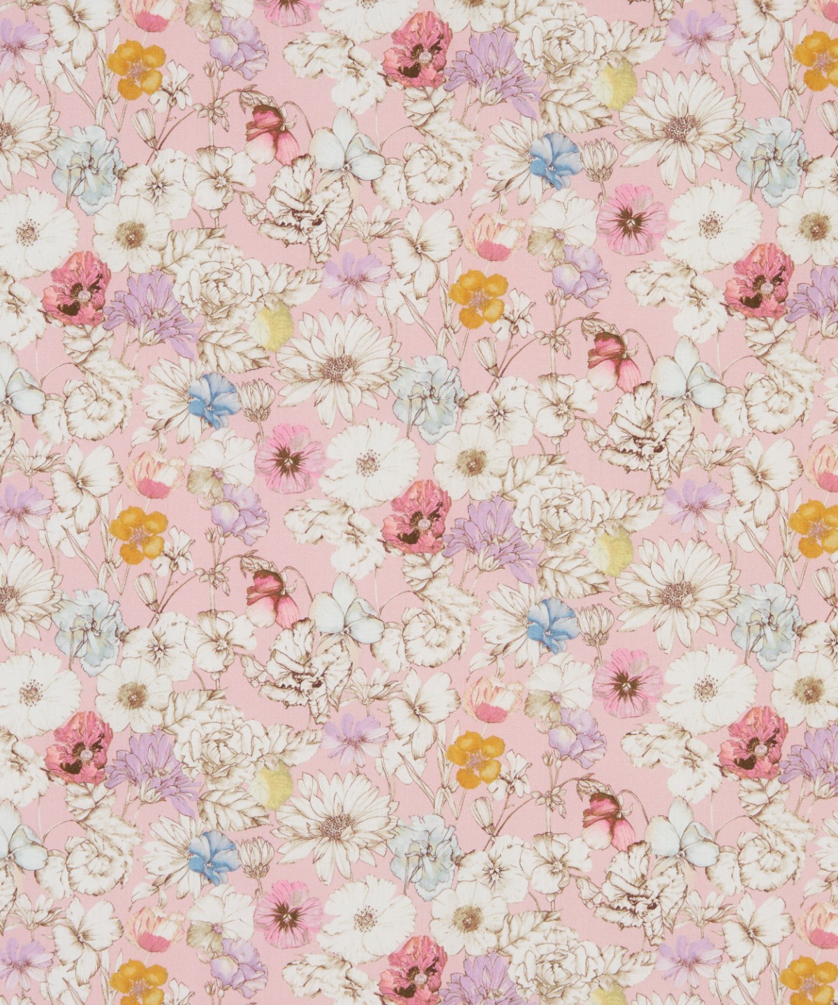 レスト・メドウ オーガニック・タナローン