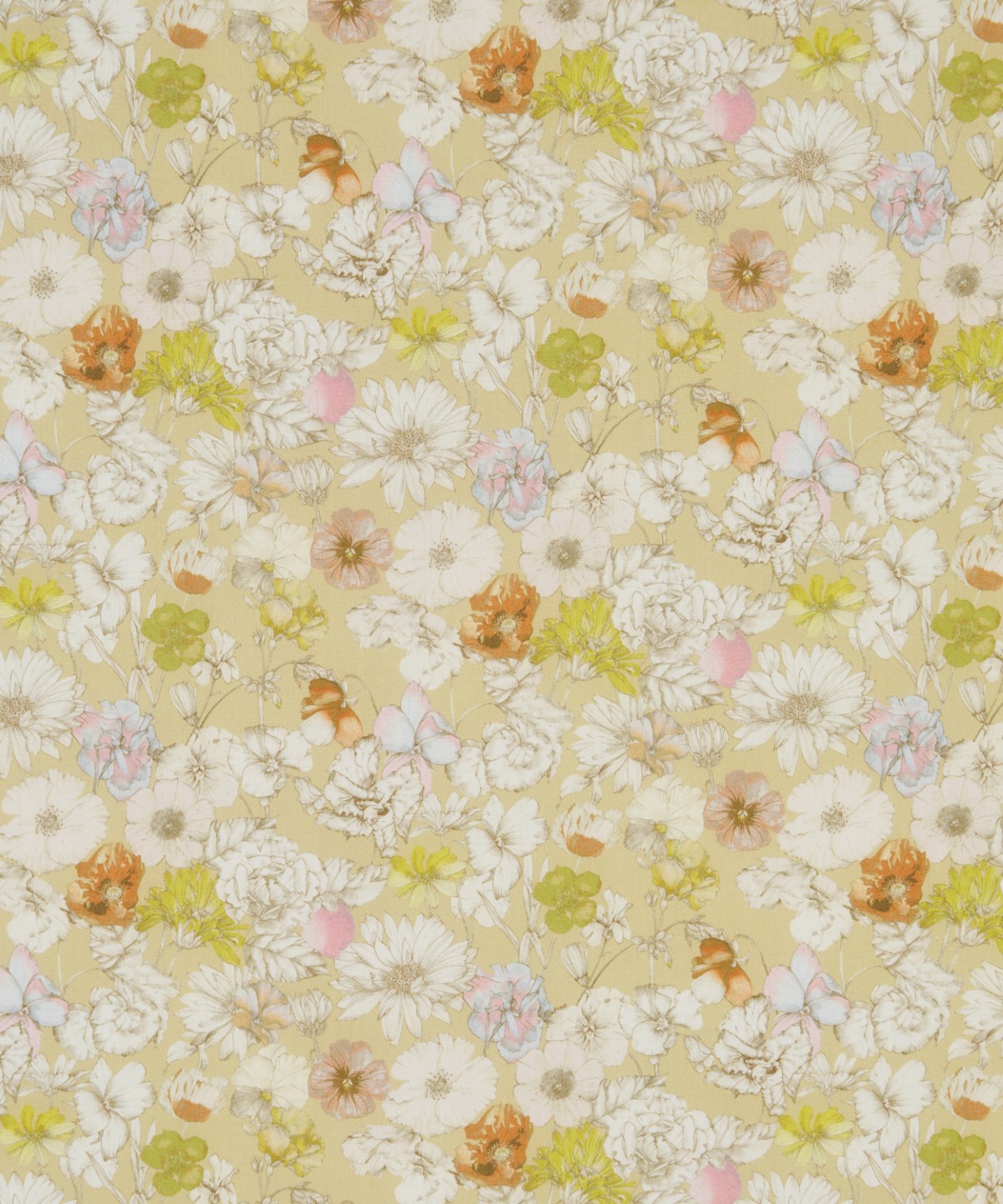 レスト・メドウ オーガニック・タナローン