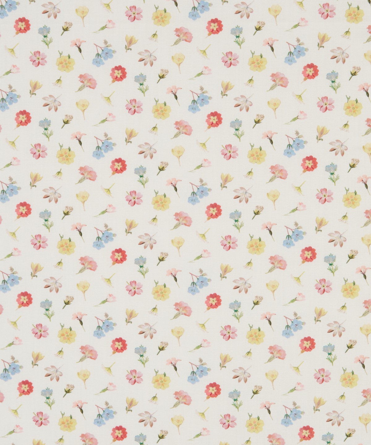 デヴォンシャー・フラワーズ オーガニック・タナローン