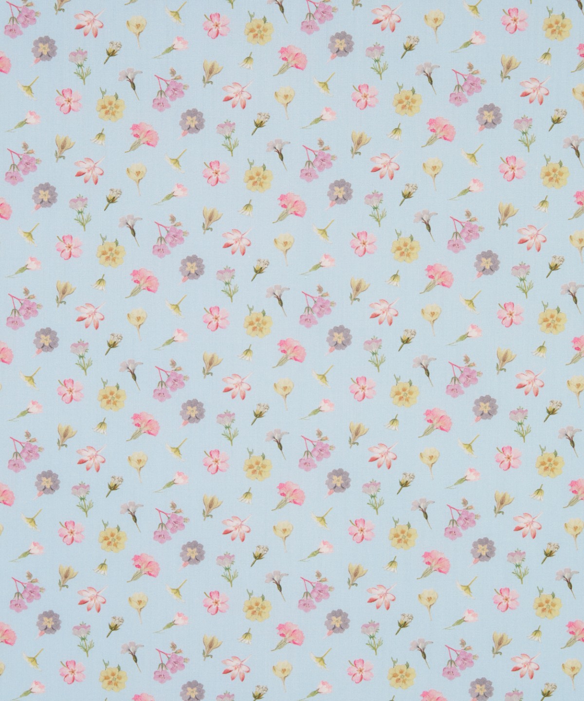 デヴォンシャー・フラワーズ オーガニック・タナローン