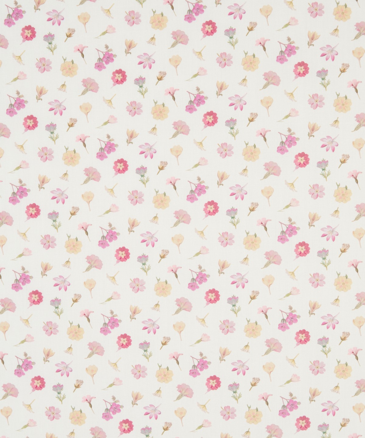 デヴォンシャー・フラワーズ オーガニック・タナローン