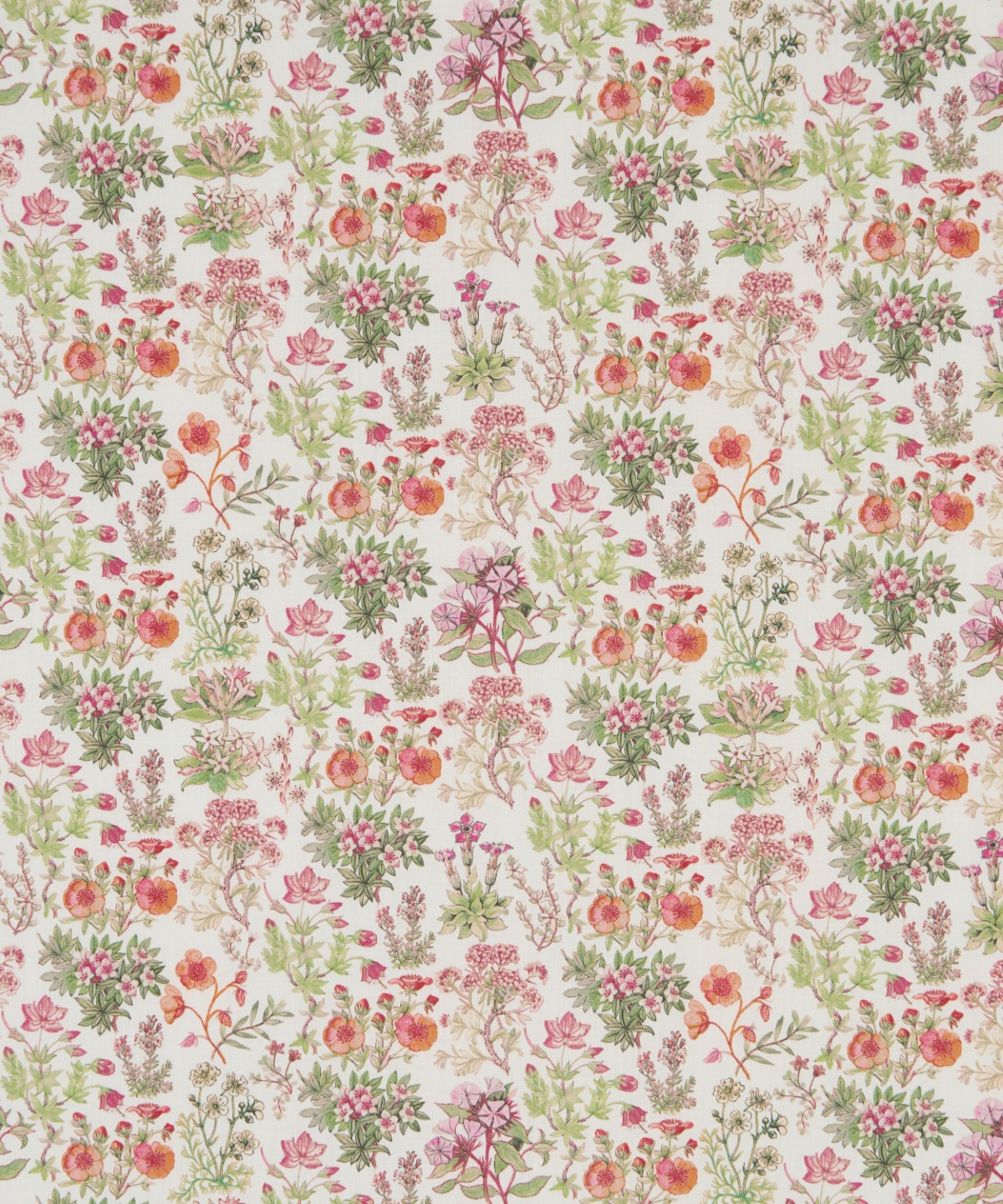 ケニルワース・キャッスル オーガニック・タナローン