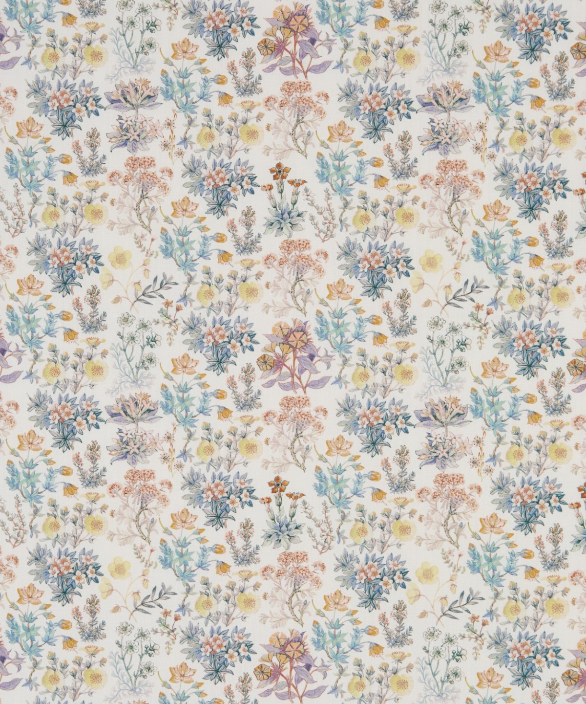 ケニルワース・キャッスル オーガニック・タナローン