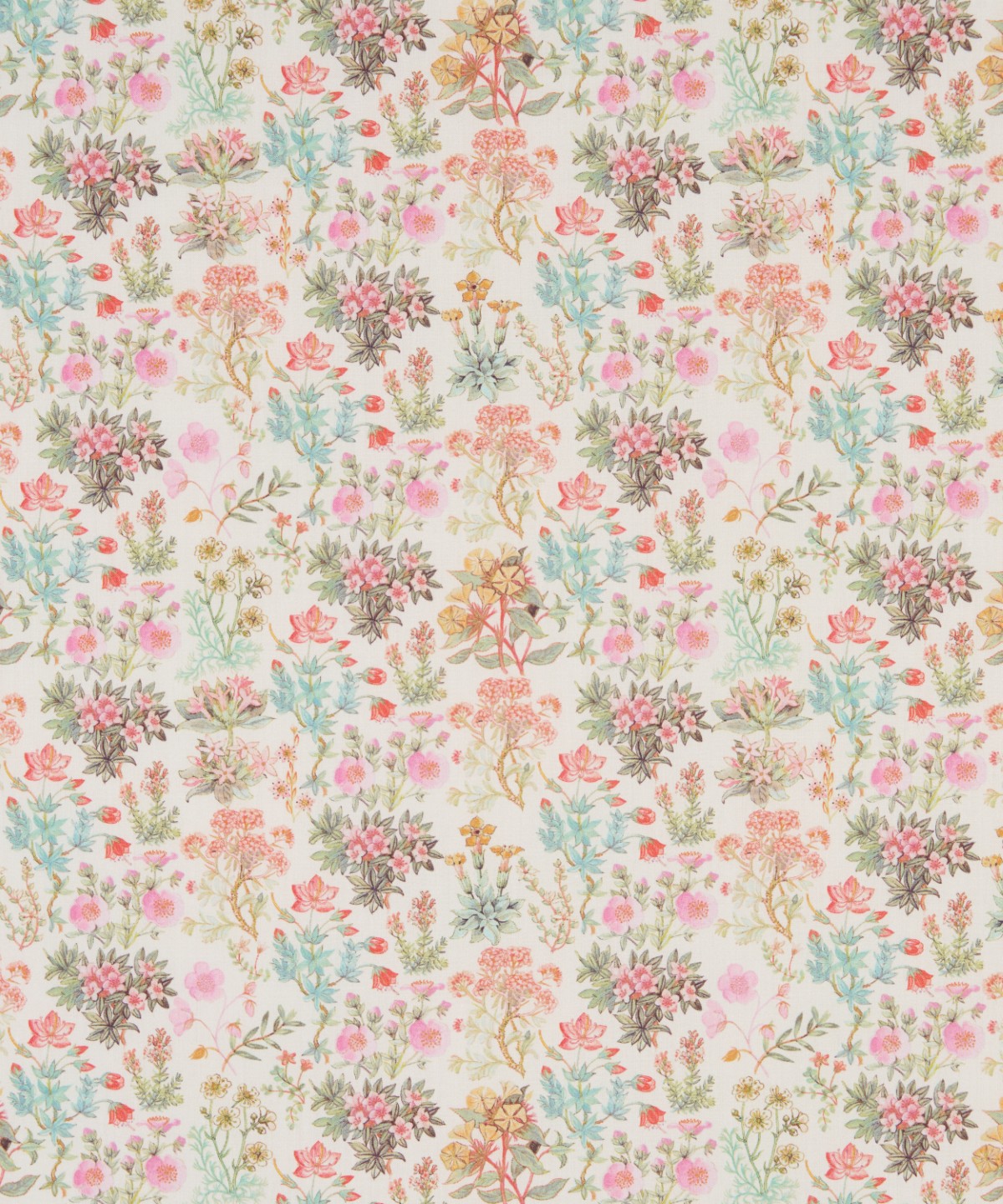 ケニルワース・キャッスル オーガニック・タナローン