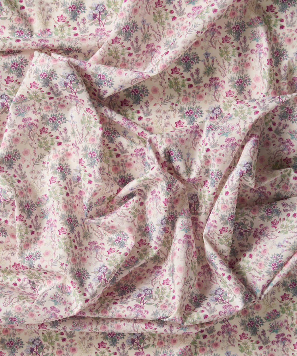 ケニルワース・キャッスル オーガニック・タナローン