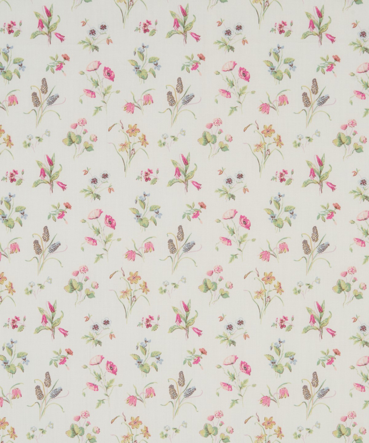 チェシャー・メドウ オーガニック・タナローン