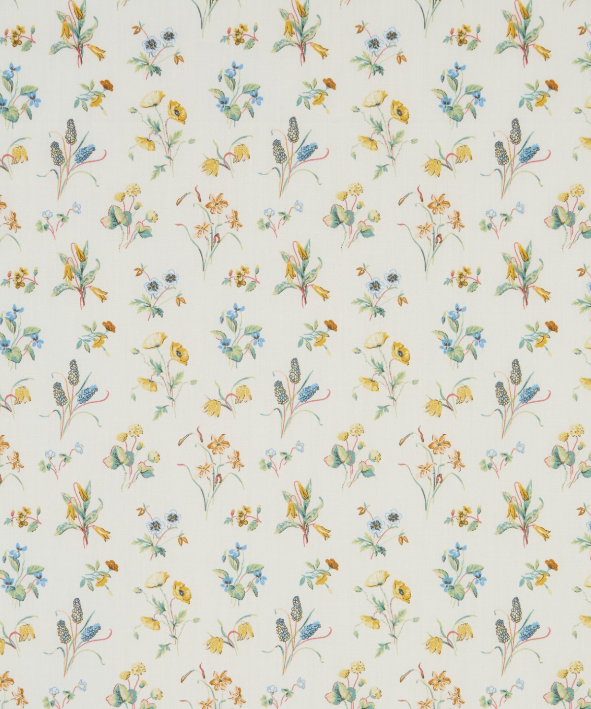 チェシャー・メドウ オーガニック・タナローン