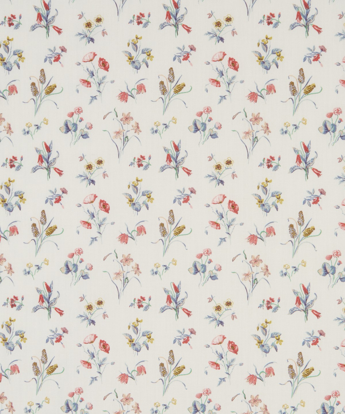 チェシャー・メドウ オーガニック・タナローン