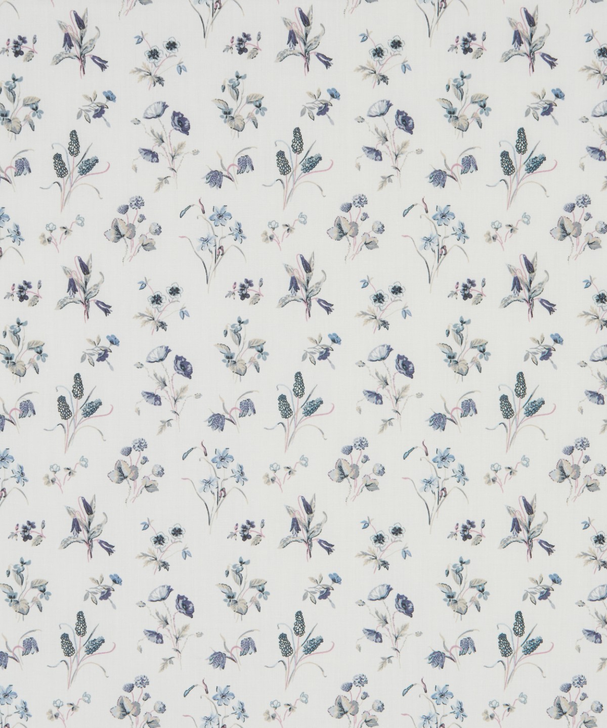 チェシャー・メドウ オーガニック・タナローン