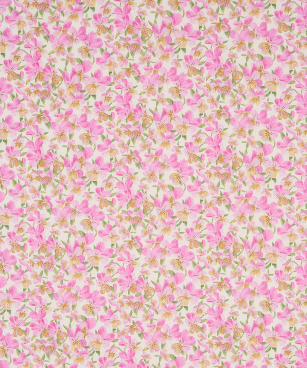 サマセット・パンジー オーガニック・タナローン