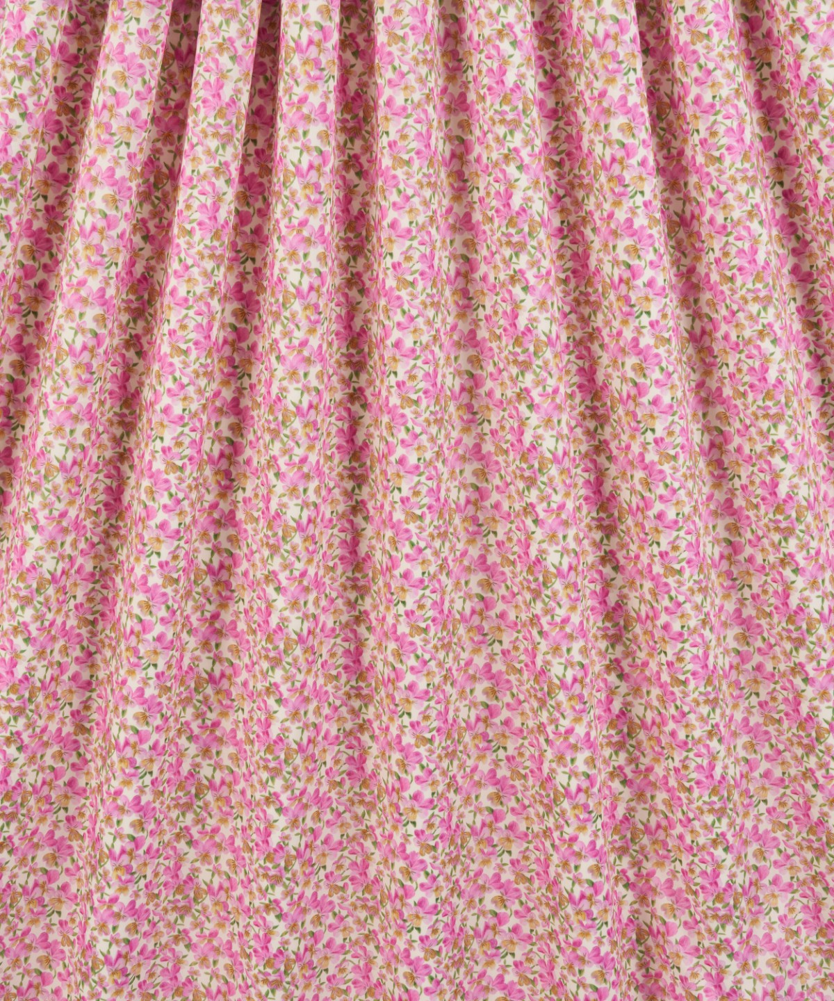 サマセット・パンジー オーガニック・タナローン