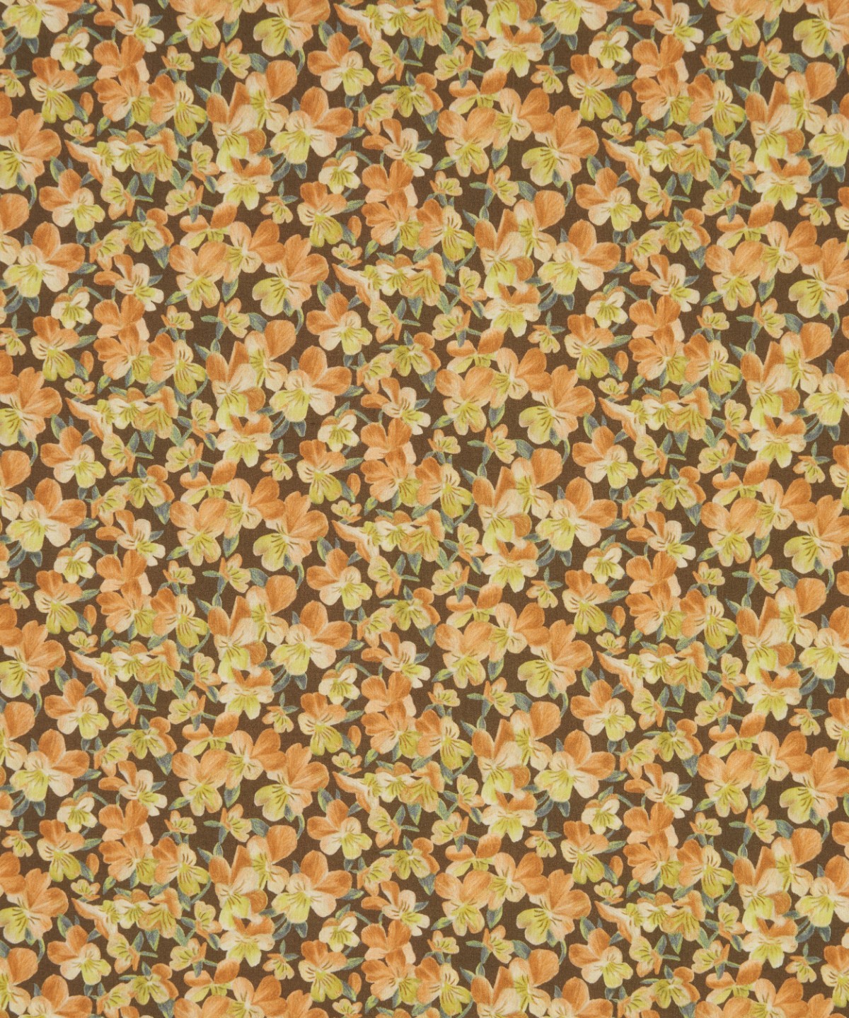 サマセット・パンジー オーガニック・タナローン